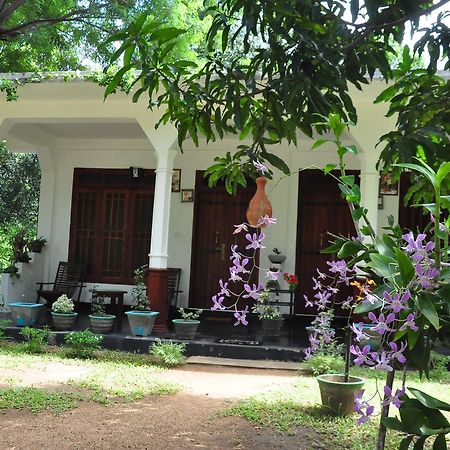 Sigiriya Flower Guest Exterior photo