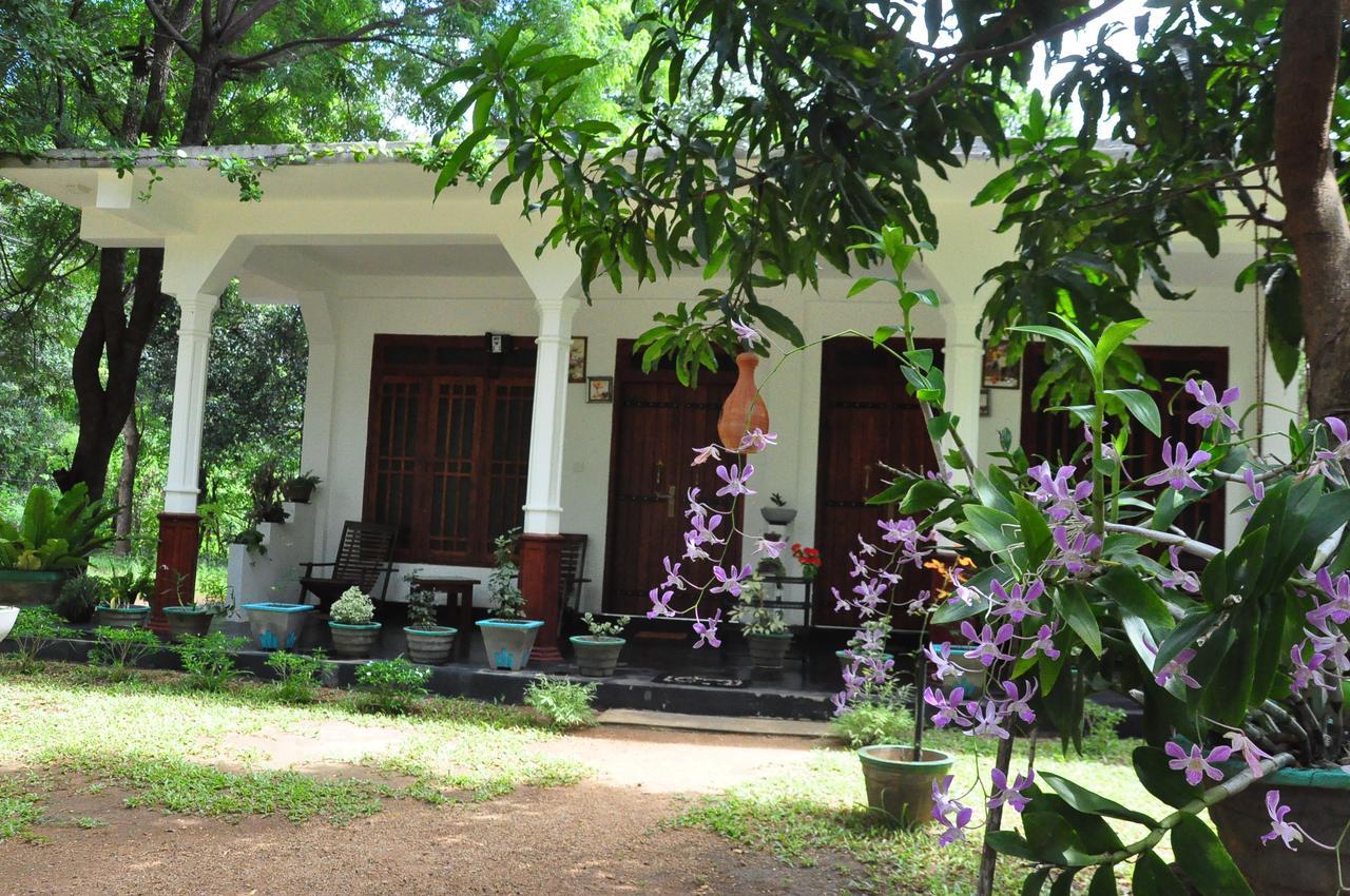 Sigiriya Flower Guest Exterior photo